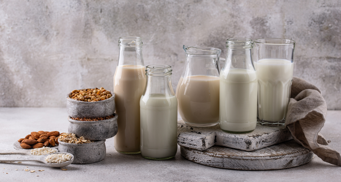 What Is A Dairy Sensitivity? Navigating a Dairy-Free Lifestyle