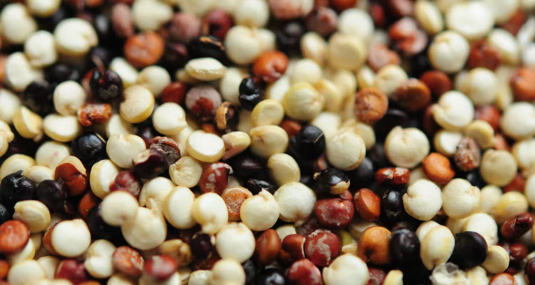 Super Foods - The Year of Quinoa