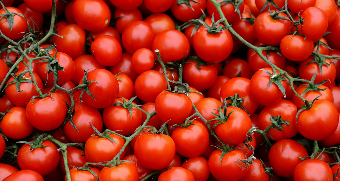Understanding and Managing a Tomato Allergy