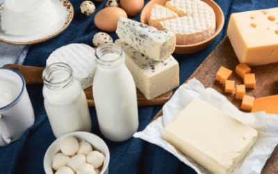 How Dairy Affects Your Immune System
