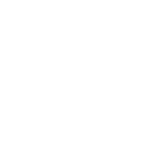 white 100 percent guarantee - Home